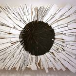 Force Majeure by Louise McRae