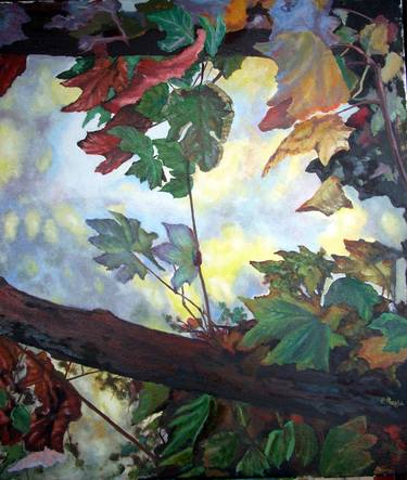 Original Nature Paintings by Vincenzo Rappa