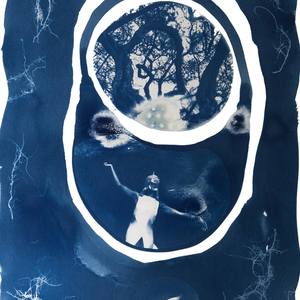 Collection Cyanotypes