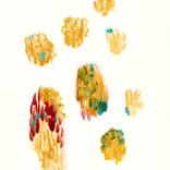 Collection Abstractions | Abstracciones