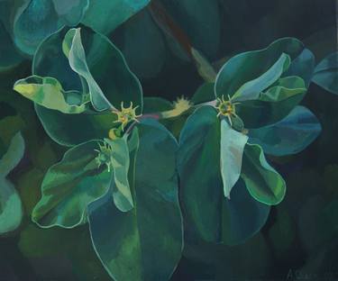 Print of Fine Art Botanic Paintings by Anastasia Chernysheva