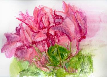 Print of Figurative Floral Drawings by Anastasia Chernysheva