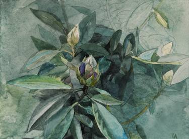 Print of Figurative Botanic Paintings by Anastasia Chernysheva