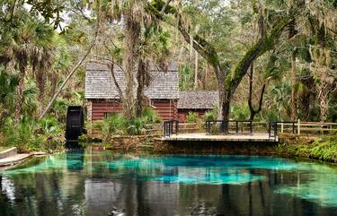 Juniper Springs Two Limited Edition 1 Of 250 Photography By Mike