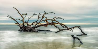 Original Fine Art Beach Photography by Mike Ring