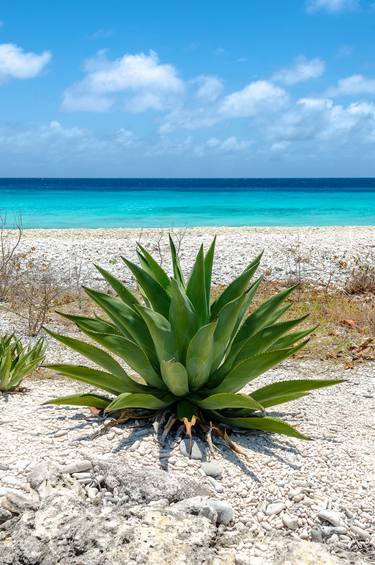 Original Seascape Photography by Mike Ring