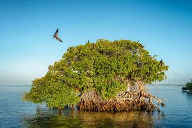 Original Fine Art Seascape Photography by Mike Ring