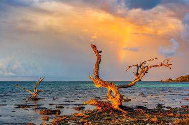 Original Fine Art Seascape Photography by Mike Ring