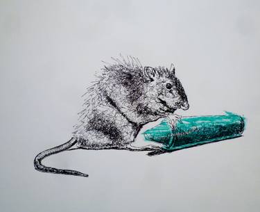 Print of Animal Drawings by Camilo Manrique