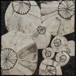 Opium Poppies by Tanya Stubbles