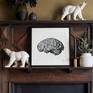 Anatomy Of The Brain on a shelf