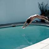 Diver over cat by Gregory Prescott