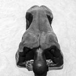 Collection Nude Figures