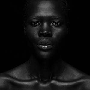 Collection Photography Under $1,500