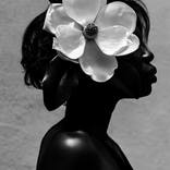 Collection Living With Art: Sarah Chitsaz