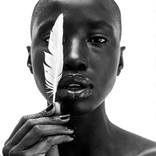 White Feather - Limited Edition of 10 by Gregory Prescott