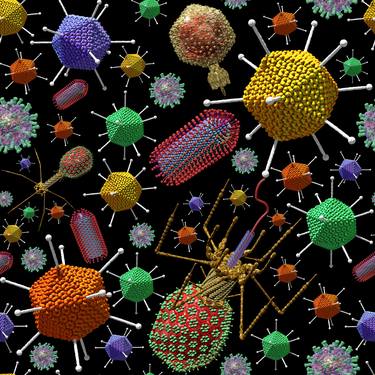 Virus Ocean Christmas Coloured Viruses thumb