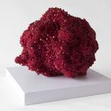 Contracture by Aldemar Munoz