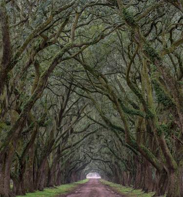 Farm Road Alley, vertical view thumb