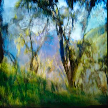 Original Impressionism Abstract Photography by William Guion