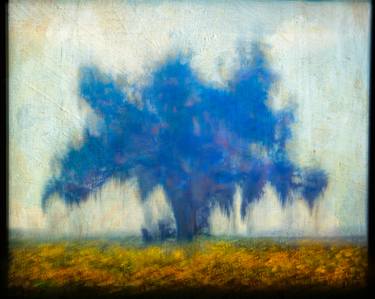 Original Impressionism Tree Photography by William Guion