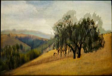 Oaks on hill, Santa Lucia Mountains - Limited Edition of 15 thumb