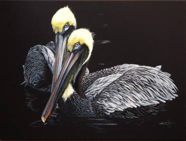 Pelicans on Black thumb