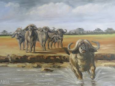 Buffalo Migrating Crossing the River thumb