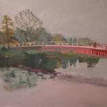 Bute Park Bridge by Sebastian Aplin