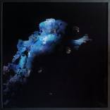 Deep Sea - Painting n.25 - Escape by Alessio Ceruti