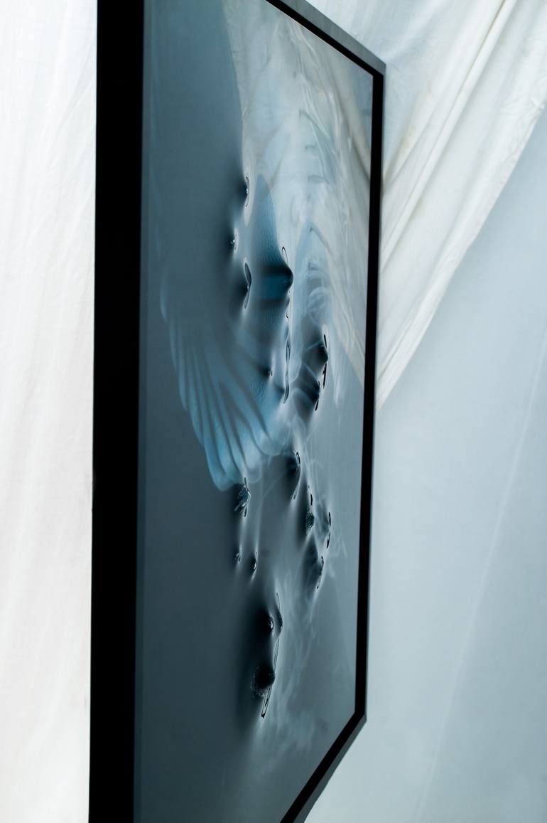 Original Abstract Expressionism Animal Painting by Alessio Ceruti