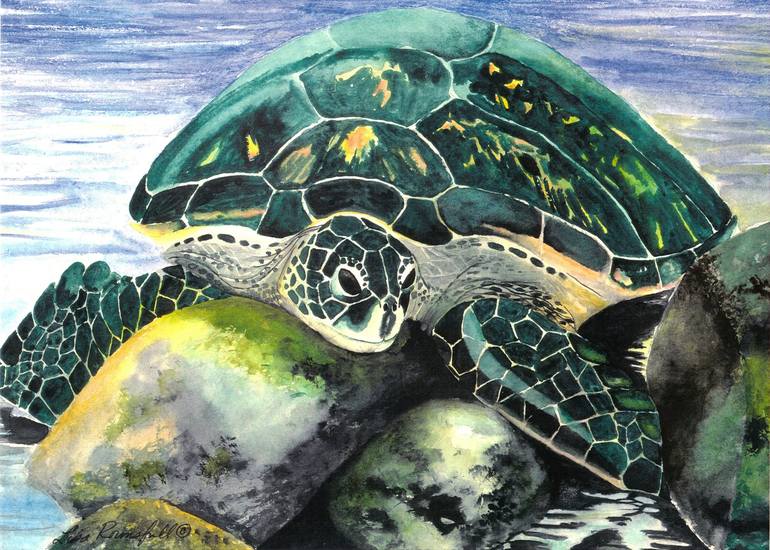 Sun Bathing Turtle Painting by Lisa Schulaner | Saatchi Art