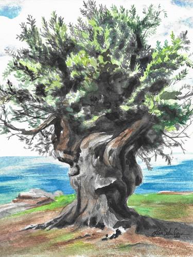 Print of Fine Art Tree Paintings by Lisa Schulaner