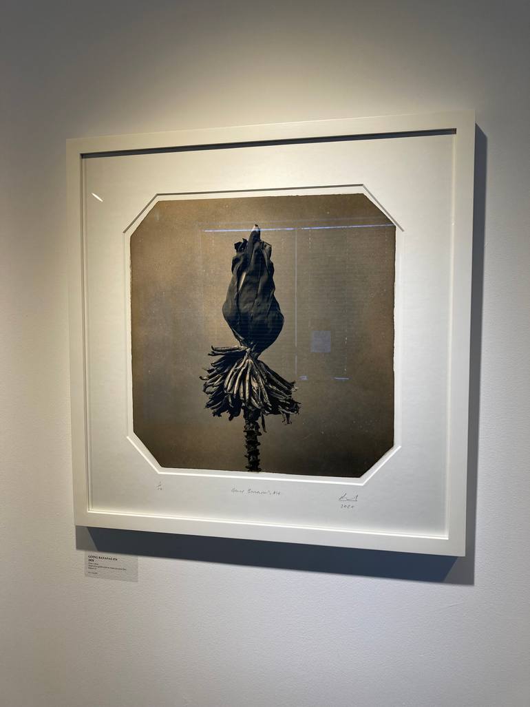 Original Conceptual Botanic Photography by Paul Gadd