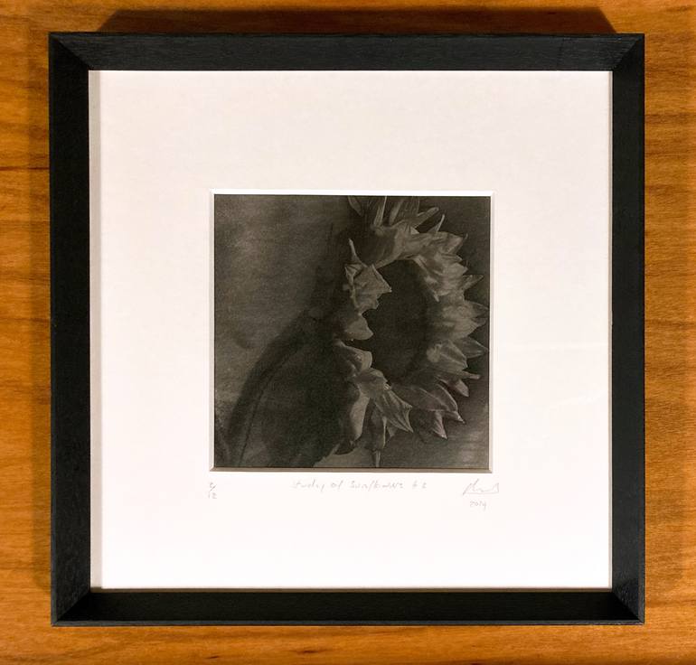 Original Conceptual Botanic Photography by Paul Gadd