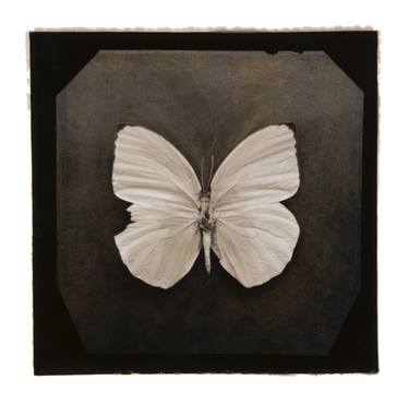 Original Black & White Still Life Photography by Paul Gadd