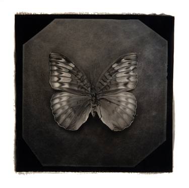 Original Black & White Still Life Photography by Paul Gadd