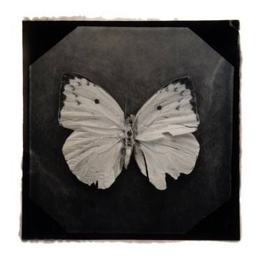 Original Black & White Still Life Photography by Paul Gadd