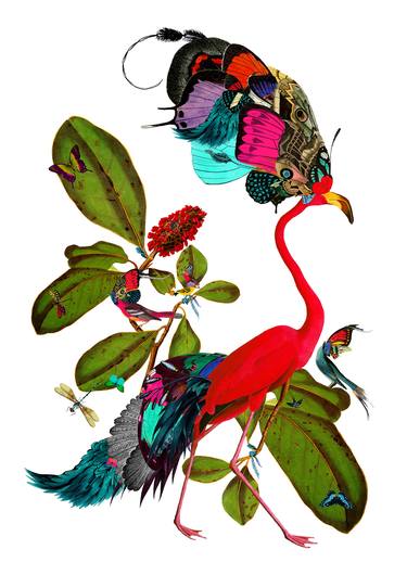 Original Nature Printmaking by Kristjana S Williams