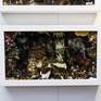 Collection Dioramas