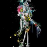 Collection Black & White