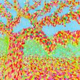 Collection Landscapes