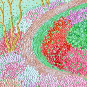 Collection Landscapes