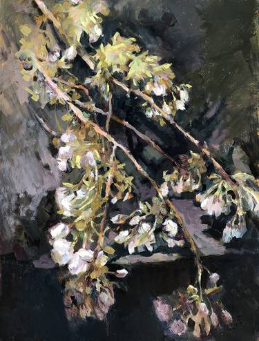 Original Impressionism Floral Paintings by Olga Bolgar
