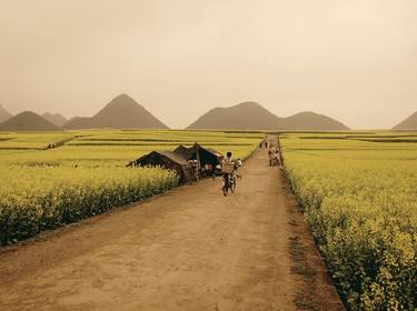 LUOPING FIELDS, Luoping, China 2011 - Limited Edition of 25 thumb