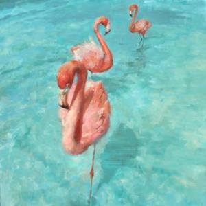Collection Summertime Flora and Fauna