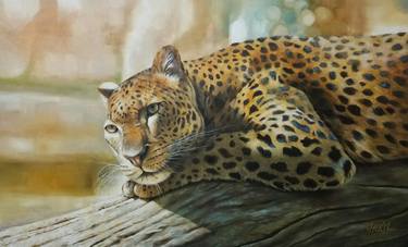 Resting Leopard thumb