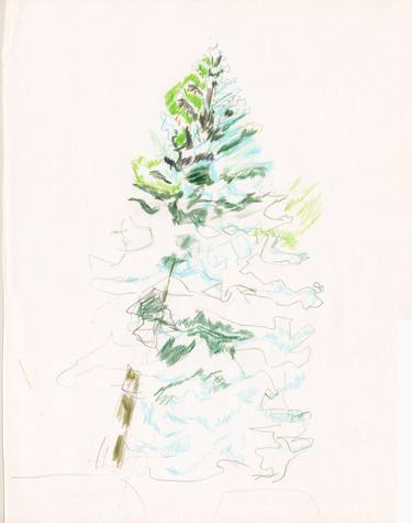 Original Nature Drawings by Rima Dawn McCabe