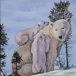 POLAR FAMILY by Madalena Lobko-Zampassi