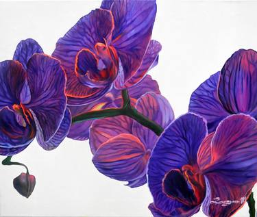 Violet Orchid image